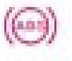 Anti-lock braking system warning light (ABS) warning lamp icon