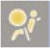 Front, side and curtain air bags warning lamp icon
