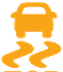 ESP/ASR warning lamp icon