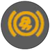 Anti-lock brake system warning light* (ABS) warning lamp icon
