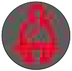 Seat belt not fastened warning light* warning lamp icon